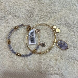 🌳 Alex and Ani Tree of Life Art Infusion Bangle Set of 2 – NWT